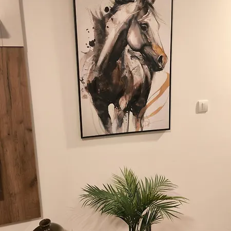 Apartment Comodo 