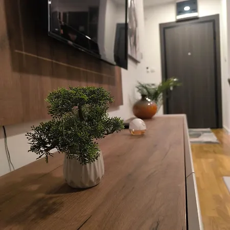 Apartment Comodo 